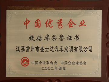 中國^企業(yè)